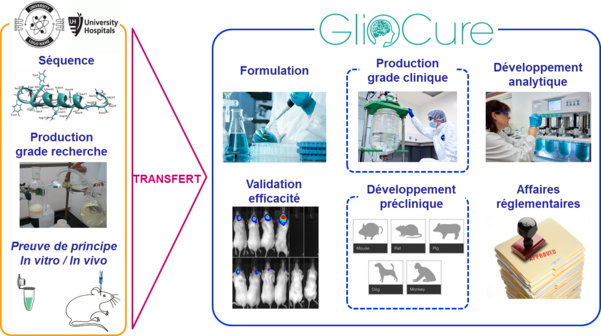 Offre GlioCure
